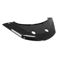 1B009011000XN2 - REAR CLOSURE PANEL UPPER