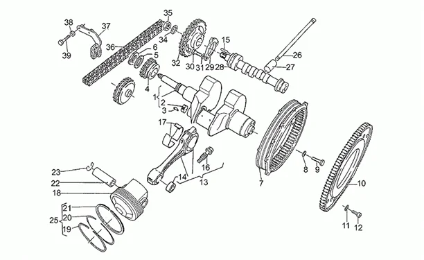 Arbre moteur