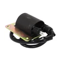 CDI UNIT  FOR SCOOT PIAGGIO 125 TYPHOON 1993>2000  -P2R-