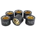 GALET/ROULEAU MAXISCOOTER MAGNETI MARELLI 23x18  17,5g  (x6)  POUR HONDA 250 FORZA, 300 SH/KYMCO 250 GRAND DINK, 250 KXR/QUADRO D-S/YAMAHA 300 XMAX