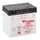 BATTERY 12V 30 Ah 53030 YUASA YUMICRON WITH MAINTENANCE (Lg186xWd130xH171)