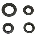 OIL SEAL (FULL SET) FOR CHINESE 50 CC 4 STROKE- GY6, 139QMB/PEUGEOT 50 KISBEE, V-CLIC 4STROKE/SYM 50 ORBIT 4STROKE/BAOTIAN 50 BT49QT 4STROKE/KYMCO 50 AGILITY 4STROKE ( 4 ITEMS)  -SELECTION P2R-