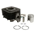 CYLINDER FOR SCOOT PEUGEOT 50 TKR, TREKKER, SPEEDFIGHT AIR, VIVACITY, BUXY, SQUAB, ZENITH, ELYSEO  - CAST IRON OLYMPIA-