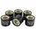 GALET/ROULEAU MAXISCOOTER MAGNETI MARELLI 19x17  15,5g (x6)  POUR PIAGGIO 125 BEVERLY, FLY, LIBERTY, MP3, YOURBAN VESPA LX ET GTS, X10, X9, X8, X7, X-EVO/APRILIA 125 SPORTCITY, SCARABEO