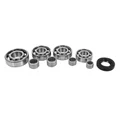 ROULEMENT BOITE DE VITESSES + CAGE AIGUILLES 50 A BOITE P2R SKF ADAPTABLE MINARELLI 50 AM6/BETA 50 RR/RIEJU 50 MRT/SHERCO 50 SE-R/MBK 50 X-POWER/PEUGEOT 50 XPS (ROULEMENTS SKF + DOUILLES INA)