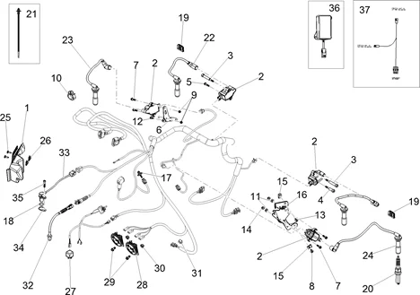 Circuit electrique AV