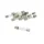 FUSIBLE ROND EN VERRE 25A  6,3x30mm  (SACHET DE 10)  -SELECTION P2R-