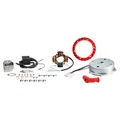 ALLUMAGE CYCLO MALOSSI POWER POUR PIAGGIO 50 CIAO (ROTOR EXTERNE 12V) (MONTAGE UNIQUEMENT SUR MODELE AVEC ALLUMAGE ELECTRONIQUE) -5517192