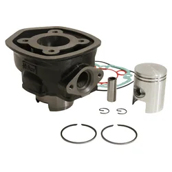 CYLINDER FOR SCOOT PIAGGIO 50 ZIP 4 Stroke, LIBERTY 4 Stroke, FLY 4 Stroke, VESPA ET4, VESPA LX 4 Stroke/DERBI 50 ATLANTIS 4 Stroke, BOULEVARD 4 Stroke/APRILIA 50 SCARABEO 4 Stroke  -P2R CAST IRON PREMIUM-