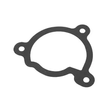 1A017976 - WATER PUMP COVER GASKET