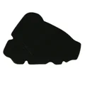 AIR FILTER (PREMIUM) "PIAGGIO GENUINE PART"  PIAGGIO SKIPPER 4stroke  -4874010P-