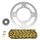 CHAIN AND SPROCKET KIT FOR BETA 50 RR MOTARD 2012>2017, RR MOTARD STANDARD 2012>2014, RR MOTARD SPORT 2014>2017, RR SM 2012>2017  420  13x50  (DIMENSIONS 100/120/8.5/16)  -AFAM-