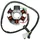 IGNITION STATOR FOR 50CC MOTORBIKE DERBI 50 SENDA (DUCATI 85W)  -TOP PERFORMANCE
