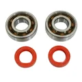 BEARING FOR CRANKSHAFT+SEALS FOR SCOOT P2R FOR PEUGEOT 50 LUDIX, SPEEDFIGHT 3, JET FORCE, KISBEE/DJANGO 2STROKE (KIT 6204 SKF POLYAMID C4/RED RACING SEAL)
