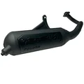 POT SCOOT MALOSSI WILD LION POUR KYMCO 50 AGILITY 2T 16 POUCES, DINK 2T 1997>, PEOPLE 2T 1999>, SUPER-9 2T 2000>, TOP BOY 2T 2001>/SYM 50 JET 2T 1995> (HOMOLOGUE CE)