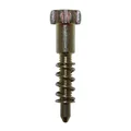 SPEED SCREW FOR CARB DELLORTO PHVA (+ SPRING)
