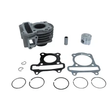 CYLINDER FOR SCOOT PEUGEOT 50 LUDIX ONE-TREND-SNAKE-CLASSIC, VIVACITY 2 Stroke 2008>, KISBEE 2 Stroke 2013>, CITYSTAR  -P2R CAST IRON + GRAPHITE PISTON-