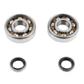 BEARING FOR CRANKSHAFT+SEALS FOR MOPED P2R FOR MBK 51, 41, 40, 88, CLUB (KIT SKF 6302 QR STEEL)