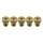 GICLEUR PRINCIPAL PHBG/SHA POLINI   64  (SACHET DE 5) (360.1064)