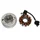 IGNITION FOR SCOOT FOR PIAGGIO 50 ZIP 4-STROKE 2000>, ET4, LIBERTY 4-STROKE 2000>, VESPA LX 4-STROKE 2005>, FLY 4-STROKE 2005>/APRILIA 50 SCARABEO 4-STROKE 2002>/DERBI 50 ATLANTIS 4-STROKE 2004> (12 POLES)  -SGR