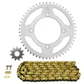 CHAIN AND SPROCKET KIT FOR BETA 50 RR ENDURO RACING 2009>2011, RR RACING 2007>2010(4 DRILL HOLES)  420  11x51 (BORE Ø 100mm) (OEM SPECIFICATION)  -AFAM-