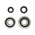 BEARING FOR CRANKSHAFT+SEALS FOR SCOOT P2R FOR PEUGEOT 50 SPEEDFIGHT 2, TKR, TREKKER AVEC POMPE DELLORTO   (KIT SC04A47CS + 6204 TPI POLYAMID C4)