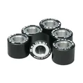 GALET/ROULEAU MAXISCOOTER MALOSSI 20,9x17 11,0g (x6)  POUR PIAGGIO 250 X7, X8, X9  MP3, GTS, BEVERLY/PEUGEOT 125 SATELIS COMPRESSOR (6613697I0)