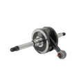 EMBIELLAGE/VILEBREQUIN CYCLO ADAPTABLE PEUGEOT FOX  (VENDU A L'UNITE)  -SELECTION P2R-