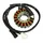 IGNITION STATOR "PIAGGIO GENUINE PART" 500 MP3 2014>, X10 2012>  -58274R-