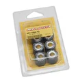 GALET/ROULEAU MAXISCOOTER MALOSSI 20x17  9,0g (x6)  POUR PEUGEOT 125 SATELIS + POUR VARIATEUR MULTIVAR YAMAHA 125 XMAX/MBK 125 SKYCRUISER, SKYLINER (6611095SF)
