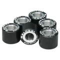 VARIATOR ROLLER FOR MAXISCOOTER MALOSSI19x17  6,1g (x6)   FOR PIAGGIO 125 BEVERLY, FLY, LIBERTY, MP3, YOURBAN VESPA LX ET GTS, X10, x9, X8, X7, X-EVO
