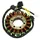 STATOR ALLUMAGE MAXISCOOTER ADAPTABLE HONDA 300 SH 2007>2013  -P2R-