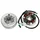 IGNITION FOR 50cc MOTORBIKE : DERBI 50 SENDA 1993>1997, DRD, X-RACE 1997>2003/BULTACO 50 LOBITO 1998>2001,LOBITO 1998>2001 WITHOUT STARTER (KOKUSAN)  -SELECTION P2R-