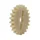 PIGNON DE POMPE A HUILE 50 A BOITE ADAPTABLE MINARELLI 50 AM6/MBK 50 X-POWER, X-LIMIT/YAMAHA 50 TZR, DTR/PEUGEOT 50 XPS, XR6/RIEJU 50 RS1, SMX/BETA 50 RR/APRILIA 50 RS  -P2R-