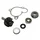 KIT REPARATION POMPE A EAU MAXISCOOTER ADAPTABLE YAMAHA 250 MAJESTY, XMAX/MBK 250 SKYLINER, SKYCRUISER (KIT)  -BUZZETTI-