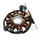 STATOR ALLUMAGE MAXISCOOTER ADAPTABLE KYMCO 125 AGILITY 4T 2008>2013  (8 POLES)  (R.O 00131053)  -TOP PERFORMANCES-