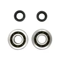 BEARING FOR CRANKSHAFT+SEALS FOR SCOOT P2R FOR PIAGGIO 50 ZIP 2STROKE, TYPHOON, NRG/GILERA 50 STALKER, RUNNER (KIT SC04A47CS TPI POLYAMID CASE/NITRILE SEALS)