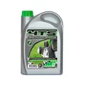 OIL FOR 4 STROKE ENGINE MINERVA ( FOR GARDENING) 4TS 10W30  (2L) (100% FRANCE)
