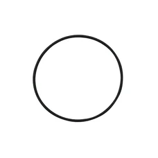AP3EAN000082 - JOINT TORIQUE