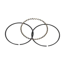 1A019531 - SCRAPER RING STANDARD