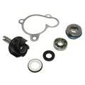 KIT REPARATION POMPE A EAU MAXISCOOTER ADAPTABLE YAMAHA 250 MAJESTY, XMAX/MBK 250 SKYLINER, SKYCRUISER (KIT)  -BUZZETTI-