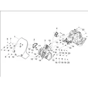 Coupole / Pare brise