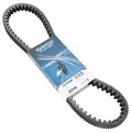 COURROIE MAXISCOOTER ADAPTABLE  (954 x 22.6)  -DAYCO KEVLAR-