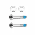 VIS POUR FREIN DISQUE ROUTE SRAM FLATMOUNT T25 EN 22mm (VENDU A LA PAIRE)