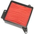 AIR FILTER FOR MAXISCOOTER KYMCO 125 MOVIE 2001>2010, AGILITY 12 POUCES 2006>2011, HEROISM 1995>1997  -HIFLOFILTRO HFA5002-