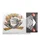 AUTOCOLLANT/STICKER MERYT DESSIN FROG AVEC PETARD (10x8,5cm)