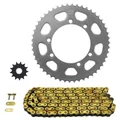 KIT CHAINE ADAPTABLE BETA 50 RR SM 2002>2005  420  13x50  (DIAM COURONNE 100/115/8.25/16)  (DEMULTIPLICATION ORIGINE)  -AFAM-