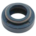 OIL SEAL FOR WATER PUMP FOR MINARELLI 50 AM6/MBK 50 X-POWER/YAMAHA 50 TZR/PEUGEOT 50 XPS/RIEJU 50 RS1/APRILIA 50 RS (10x18x8) (SOLD PER UNIT)  -TOP PERF AS ORIGINAL-