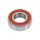 WHEEL BEARING 6004-2RS (20 x 42 x 12 mm) TPI (SOLD PER UNIT)