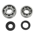 BEARING FOR CRANKSHAFT+SEALS FOR MOPED PEUGEOT 103 (KIT 6204 + 6203 ZKL STEEL C3/ NITRILE SEAL) - P2R